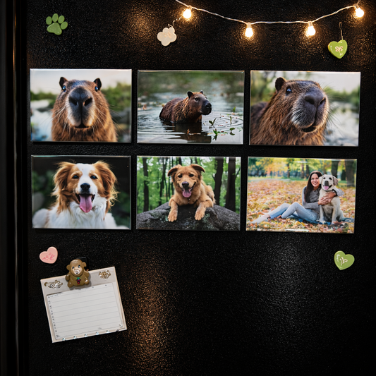 Custom 6-piece Magnet Set
